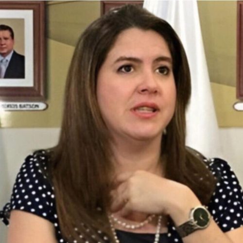 Sociedad civil hondureña insta a la OEA a observar activamente y respaldar autonomía del CNE