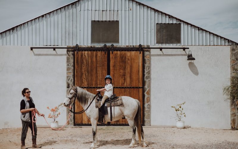 Principales actores de la corrupción mundial